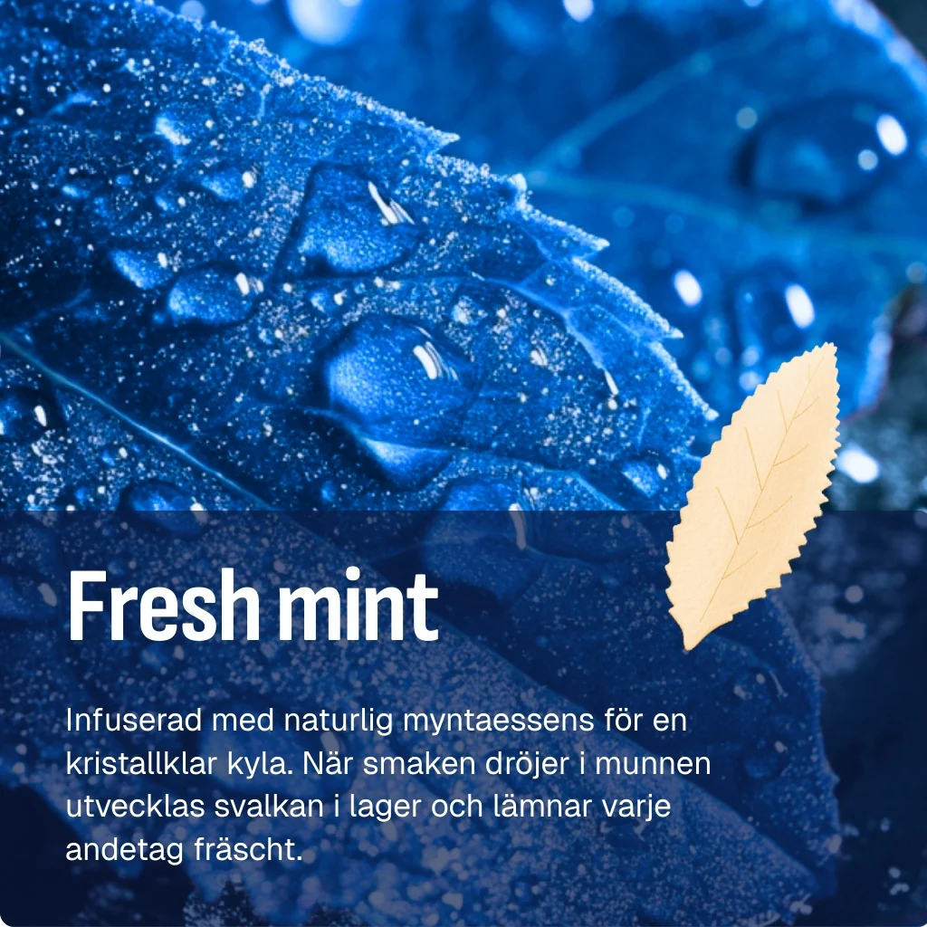 RELX AirPouch | Nicotine Pouch - Image 10